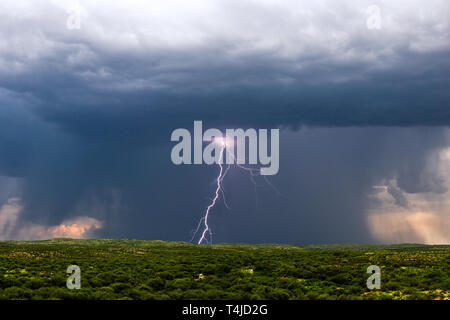 Un éclair lumineux dans un orage près de Benson, en Arizona Banque D'Images