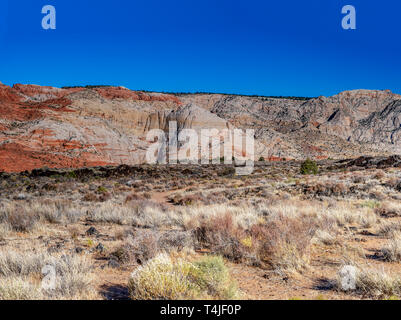 Désert de sable mort pinceau dans les champs jusqu'à rouge et blanc des parois rocheuses du canyon aride sous un ciel bleu clair. Banque D'Images