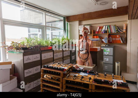 Cellier de la science dans un département de sciences des écoles Banque D'Images