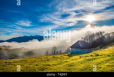 Paysage rural avec du brouillard en Sirnea - village Fundata, Transylvanie monument, Roumanie Banque D'Images