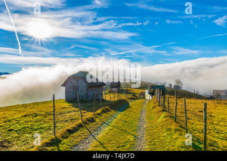 Paysage rural avec du brouillard en Sirnea - village Fundata, Transylvanie monument, Roumanie Banque D'Images