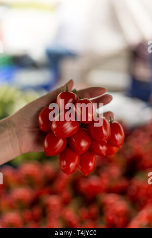Coup de main de femme de Vertical holding tomates cerises rouges. Focus sélectif. Banque D'Images