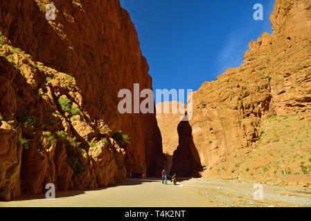 L'énorme problème divisant le Haut Atlas ; Gorges de Todra- le simple paroi de rocher lieu à 300 m dans sa partie la plus étroite prises @Atlas Montagne, Mor Banque D'Images