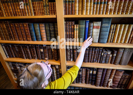 La cathédrale de Salisbury archiviste Emily Naish atteint pour les livres reliés en cuir dans la cathédrale du 15e siècle, la bibliothèque où un projet en cours au catalogue, propre et en savoir plus sur la collection de livres rares est en cours. Banque D'Images