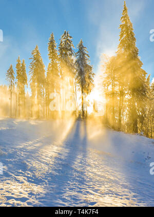 Ange de lumière sur une piste de ski en hiver. Banque D'Images