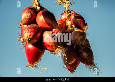 Oignons rouges de Tropea (cipolla rossa di Tropea) sur un marché agricole en Italie Banque D'Images