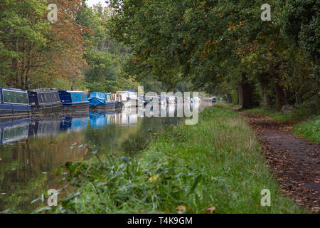 Ligne de péniches amarré contre la banque de la rivière Wey et navigation à disparaître dans la distance près de Byfleet et New Haw à Surrey Banque D'Images