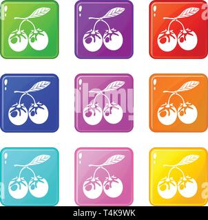 Berry Eco icons set 9 couleurs Illustration de Vecteur