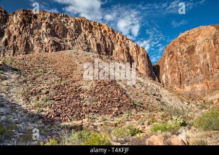 Des falaises volcaniques, éboulis, sur River Road, à Big Bend Ranch State Park, Texas, États-Unis Banque D'Images