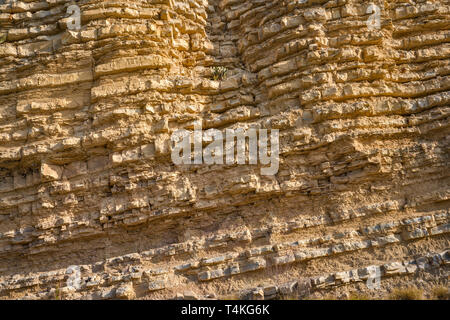 Les couches de calcaire et de schiste de la Formation de Boquillas près de sources chaudes, Big Bend National Park, Texas, États-Unis Banque D'Images