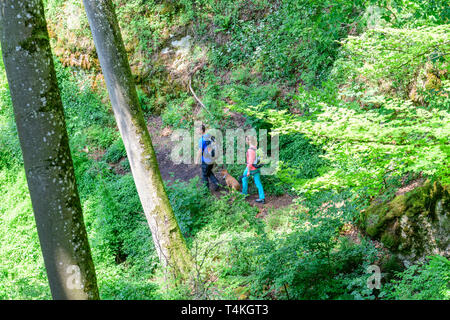 Randonnée sur l'aventure en forêt sentier rooty Banque D'Images