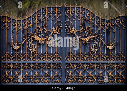 De magnifiques portes en fer forgé ornemental, forgeage, éléments forgés close-up. Banque D'Images