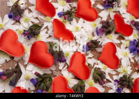 Snowdrop petites fleurs coeur en bois sur fond de texture. Perce-neige blanc fleurs en forme de coeur sur table en bois. Premier Printemps petites fleurs - snowdr Banque D'Images