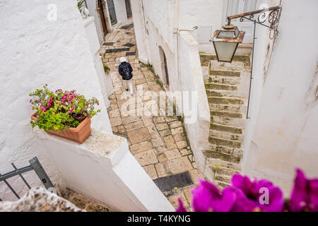 Cisternino, il domine la vallée d'Itria, dans la soi-disant Murgia dei Trulli - Pouilles, Italie Banque D'Images