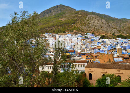 Vue à partir de la forteresse maure un jardin tropical à la Kasbah. Prises @Chefchaouen, Maroc, Afrique du Nord Banque D'Images