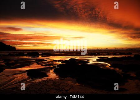 Ciel avec des nuages suspendus et les boues humides durant la marée basse couverte de jaune et rouge, la lumière vive pendant le coucher du soleil on tropical island Ko Lanta, Th Banque D'Images