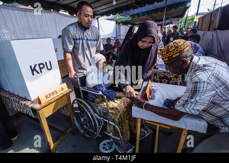 Une femme handicapée âgée casting vu son vote à un bureau de scrutin. Le jour de l'élection à Lhokseumawe, province d'Aceh, en Indonésie. Des millions d'indonésiens se rendront aux urnes pour élire des candidats et les parlementaires qui vont diriger l'Indonésie dans les cinq prochaines années. Banque D'Images