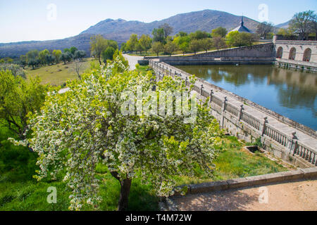 Huerto de Los Frailes. Monastère Royal de San Lorenzo del Escorial, Madrid, Espagne, province. Banque D'Images