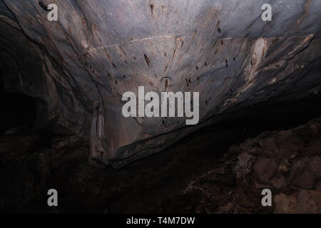 À l'intérieur de la grotte du vent près de Kuching, Sarawak, Bornéo Banque D'Images