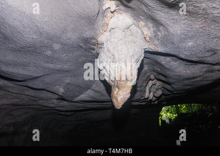 À l'intérieur de la grotte du vent près de Kuching, Sarawak, Bornéo Banque D'Images