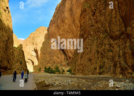 L'énorme problème divisant le Haut Atlas ; Gorges de Todra- le simple paroi de rocher lieu à 300 m dans sa partie la plus étroite prises @Atlas Montagne, Mor Banque D'Images