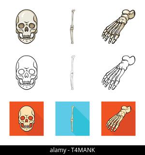 Crâne,Genou,Pied,la mort,joints,cheville,monster,sain,ménisque,le mal,body,horreur,podologie avant-pied,tatouage,jambe,DE,panneaux,chirurgie,tête,les pieds plats,dommage,oeil,circulation,l'enfer,les dents,cartilage,motion,médecine,clinique,biologie,médical,os,,squelette anatomie,des,organes,,set,icône,,illustration,collection,isolé,design,graphisme,élément vecteur vecteurs,signer , Illustration de Vecteur