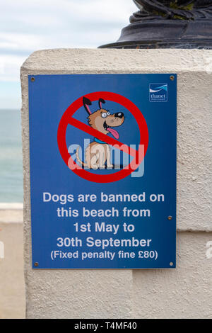 Inscrivez-vous conseiller les visiteurs que les chiens sont interdits de la plage pendant les mois d'été, Broadstairs, Angleterre. Banque D'Images