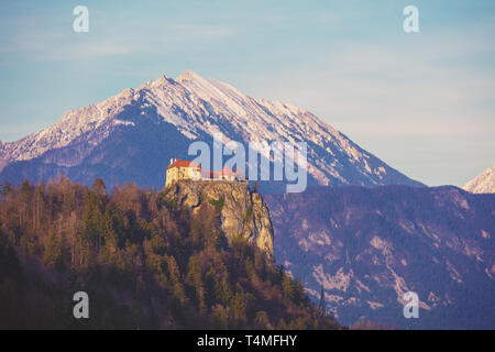 Vue sur le château de Bled contre les montagnes enneigées du lac de Bled Banque D'Images