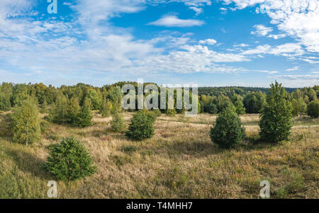 Vue aérienne dans l'Deuringer Heide, un secteur près de Stadtbergen près d'Augsbourg dans l'ouest de bois. Banque D'Images