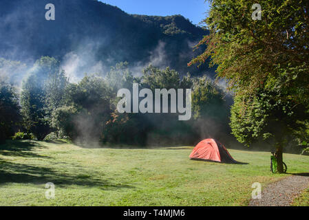 Brume du matin au Camping Rio Gonzalez Pumalin, Parc National, Patagonie, Région de los Lagos, Chile Banque D'Images