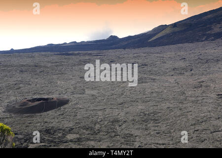 Le Formica Leo au cratère de volcan Piton de la Fournaise, île de la Réunion, océan Indien, France Banque D'Images