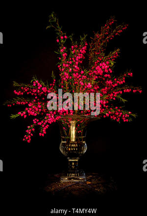 Nature morte Banque D'Images