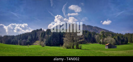 DE - La Bavière : Blomberg (1200 m) au-dessus de Wackersberg près de Bad Toelz (HDR-Panorama) Banque D'Images