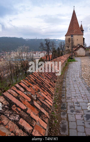 Les cordonniers' Tower, l'un des symboles de Sighisoara, sur l'image. La tour porte l'influence de l'architecture baroque, doté d''un ba hexagonale Banque D'Images