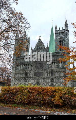 Avant de l'ouest de cathédrale de Nidaros au milieu d'automne couleur vives, Trondheim, Norvège Nord-trondelag, Banque D'Images