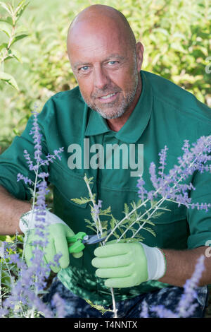 Man gardening Banque D'Images