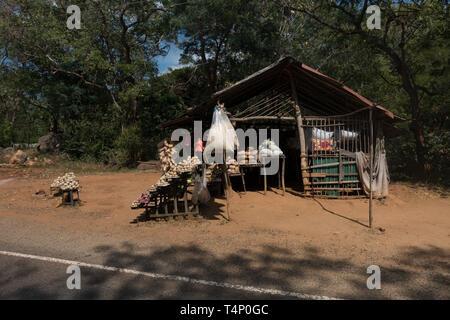 Les fruits et légumes en vente sur la route. Le Sri Lanka. Banque D'Images