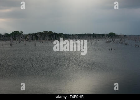 Réservoir d'Weheragala dans parc national de Yala au Sri Lanka Banque D'Images