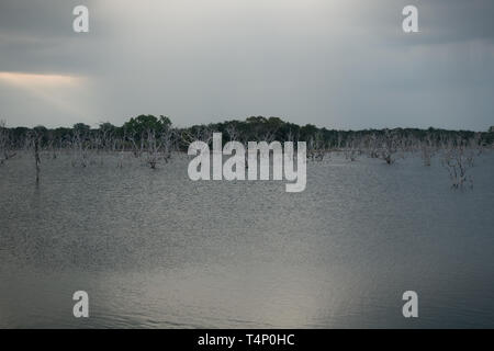 Réservoir d'Weheragala dans parc national de Yala au Sri Lanka Banque D'Images