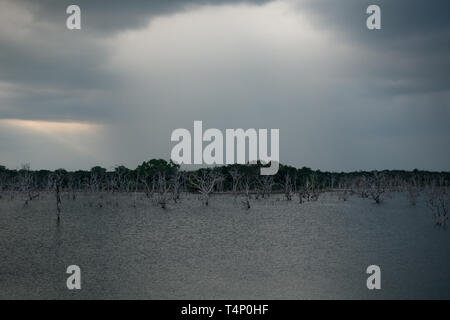 Réservoir d'Weheragala dans parc national de Yala au Sri Lanka Banque D'Images