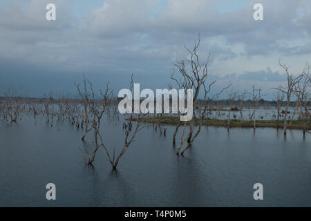 Réservoir d'Weheragala dans parc national de Yala au Sri Lanka Banque D'Images