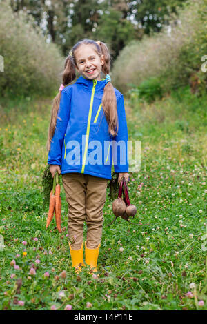 Cute girl holding carottes et betteraves en mains juste pour recueillir dans le jardin. Les légumes fraîchement récoltés. Banque D'Images