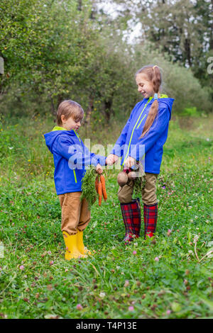 Un garçon et une fille sont maintenant les carottes et betteraves en leurs mains, juste à se rassembler dans le jardin. Des légumes fraîchement cueillis. Banque D'Images