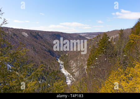 Rivière Blackwater s'exécute en canyon dans West Virginia, USA. Paysage d'hiver paysage de forêts et de montagnes. Banque D'Images