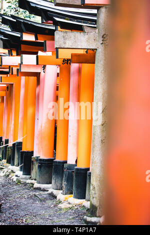 Portes Orange et des objets au Sanctuaire Fushimi Inari-Taisha culte à Kyoto, Japon Banque D'Images