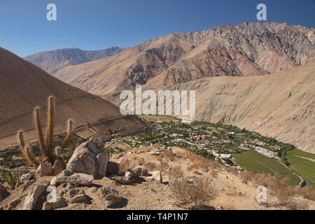 Vue panoramique de la ville de Pisco Elqui dans la vallée d'Elqui, Chili Banque D'Images