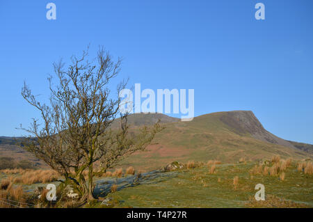 La crête de Nantlle Y Garn de Llyn Y Gader à pied Banque D'Images