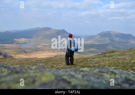 Lone walker sur Rhyd Ddu chemin de sommet Snowdon Banque D'Images