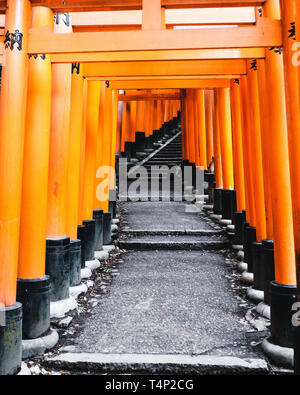 Portes Orange et des objets au Sanctuaire Fushimi Inari-Taisha culte à Kyoto, Japon Banque D'Images