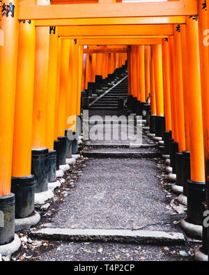 Portes Orange et des objets au Sanctuaire Fushimi Inari-Taisha culte à Kyoto, Japon Banque D'Images